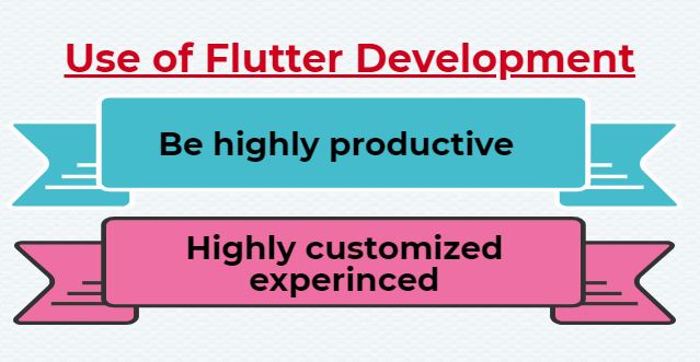 flutter development